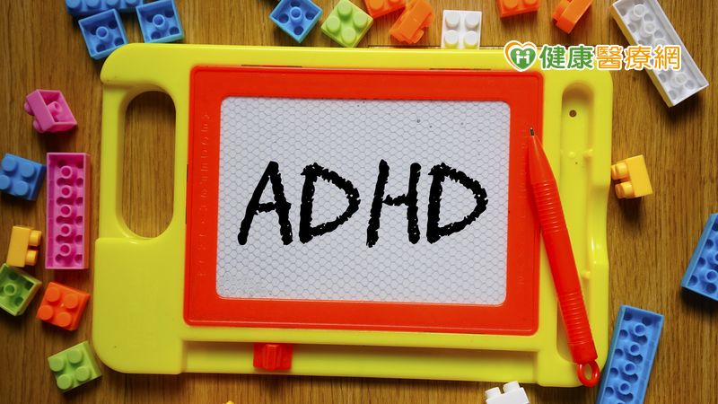 ADHD治療新標的！　調節免疫力系統很重要_紫錐花